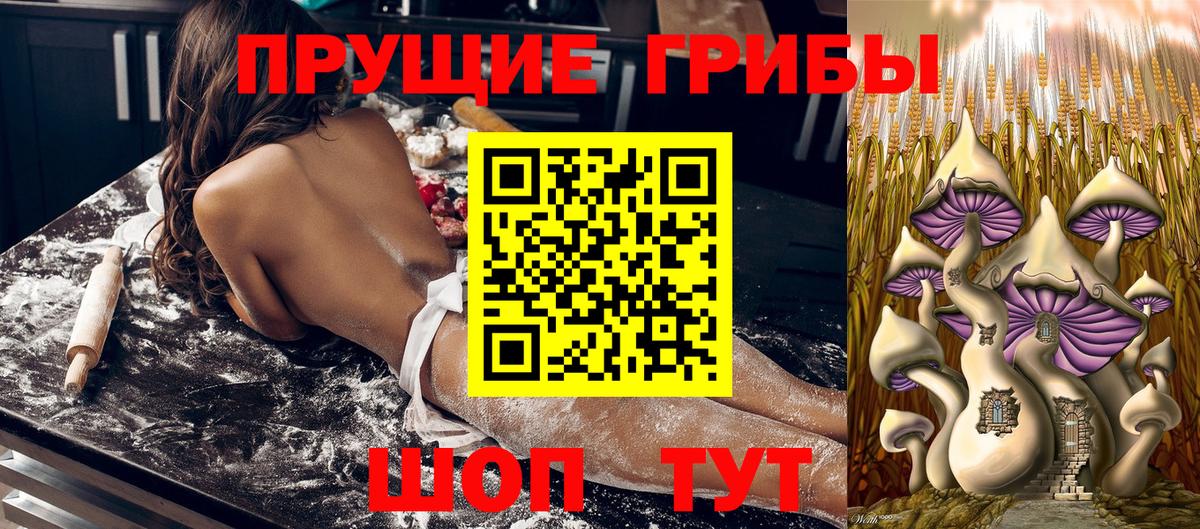 Псилоцибиновые грибы Psilocybine cubensis Белая Калитва