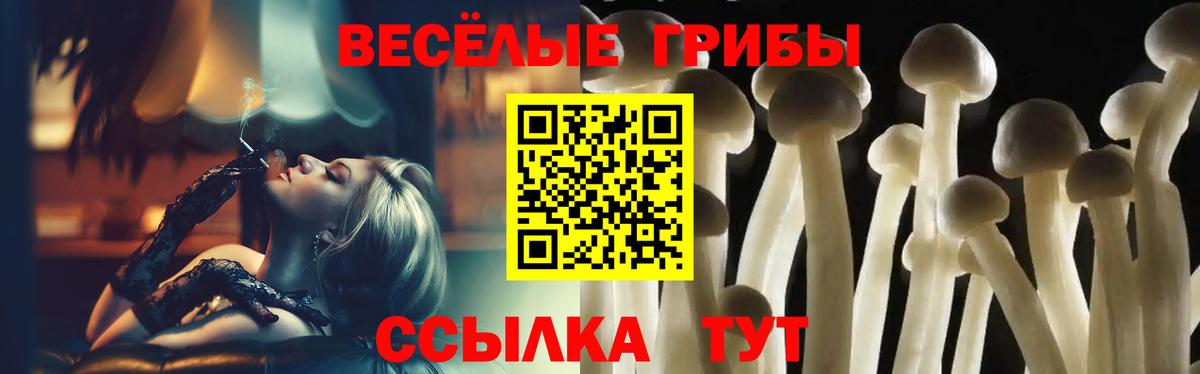 Белая Калитва  Галлюциногенные грибы MAGIC MUSHROOMS  Вход с VPN  цена   Псилоцибиновые грибы Psilocybine cubensis 